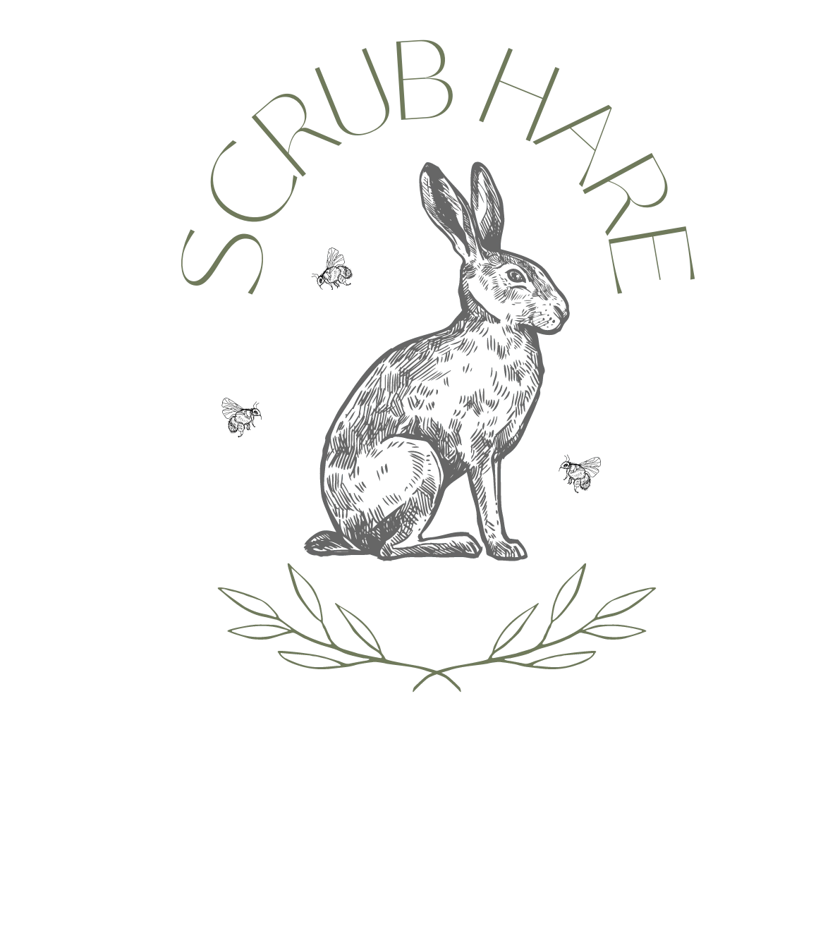 Scrub Hare 